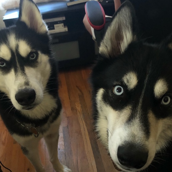 Hi everyone! I’m Linda! - Picture 6 of 8